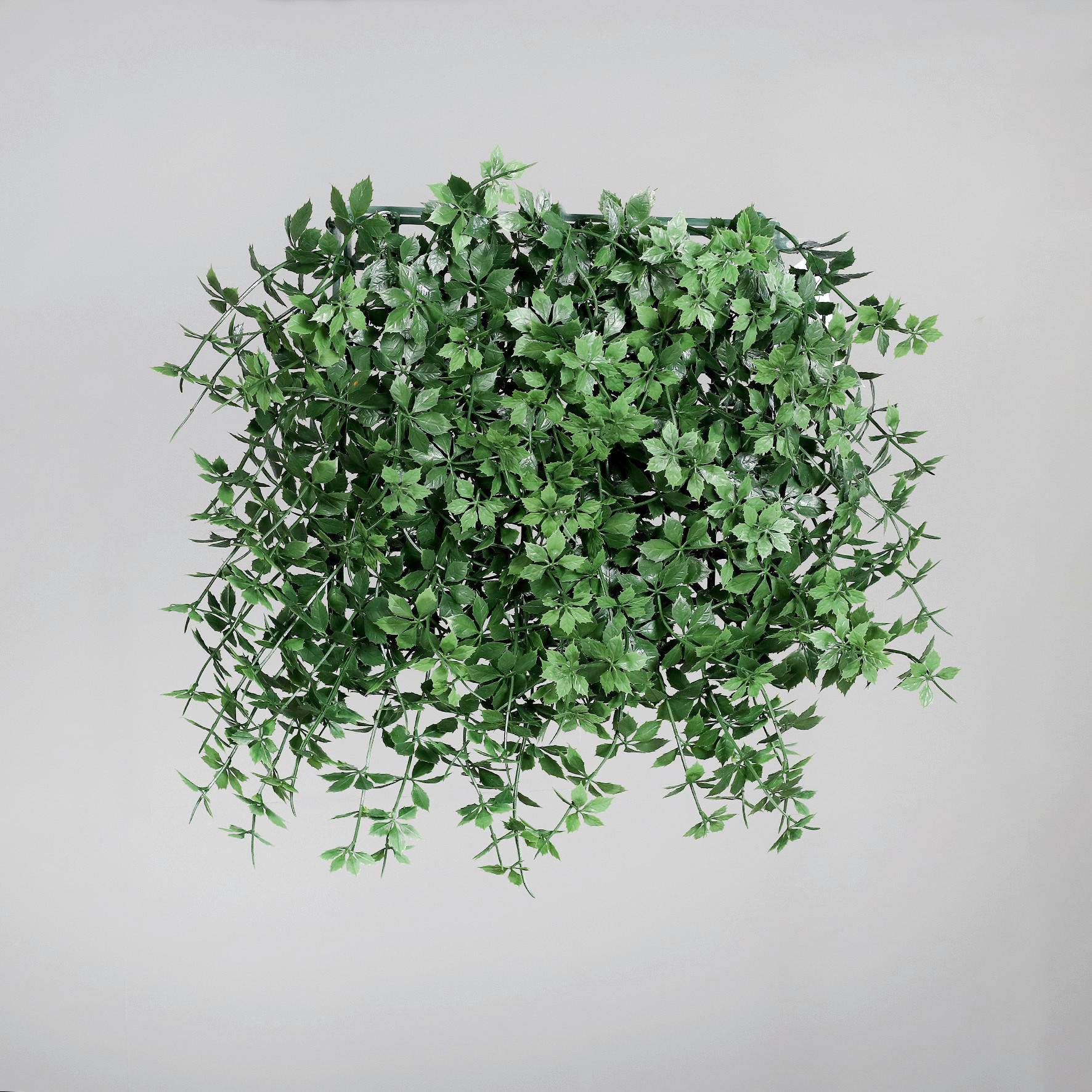 KUNSTPFLANZE  - Grün, Basics, Kunststoff (25/25cm)