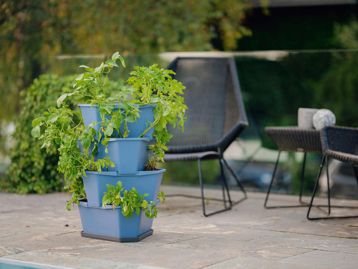PFLANZTOPF   - Blau, Basics, Kunststoff (44/65/44cm) - Gusta Garden