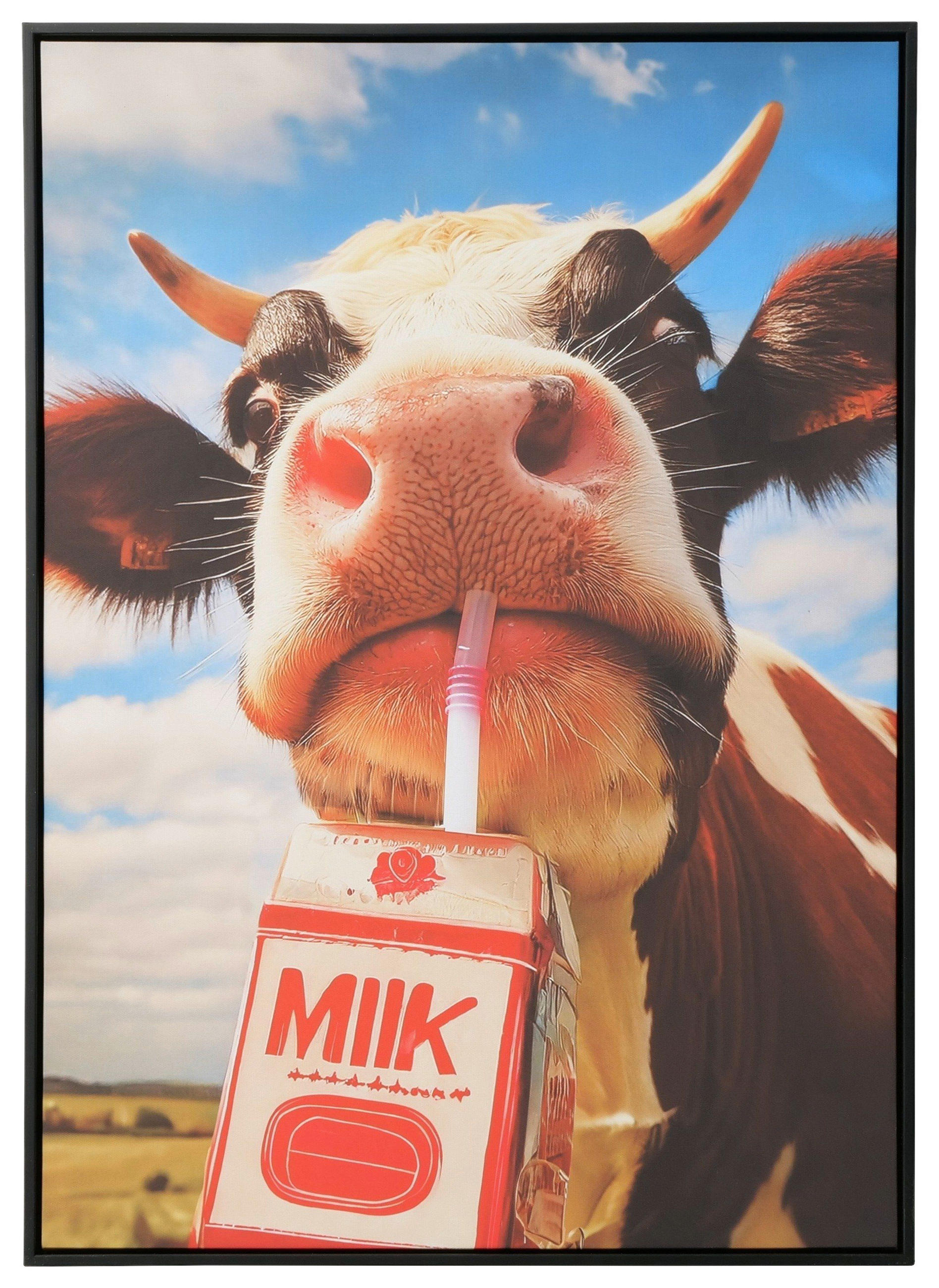 BILD  - Blau/Rot, Trend, Naturmaterialien/Kunststoff (70/4/50cm)