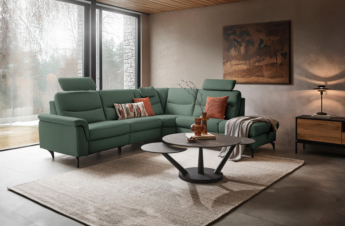 ECKSOFA  in Echtleder Waldgrün  280/249 cm  - Waldgrün/Anthrazit, Design, Leder/Metall (280/249cm) - Himolla Komfortklass