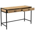 SCHREIBTISCH 120/48/76 cm Schwarz, Eiche Artisan Stauraum  - Schwarz/Eiche Artisan, Design, Holzwerkstoff/Metall (120/48/76cm) - Carryhome