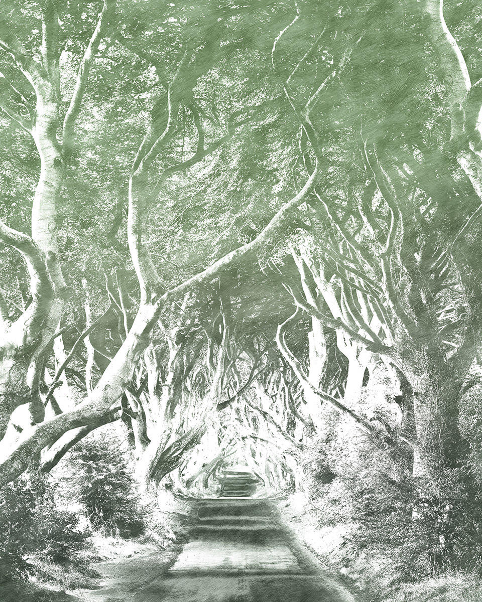 VLIESTAPETE  - Natur (200/250cm) - Komar