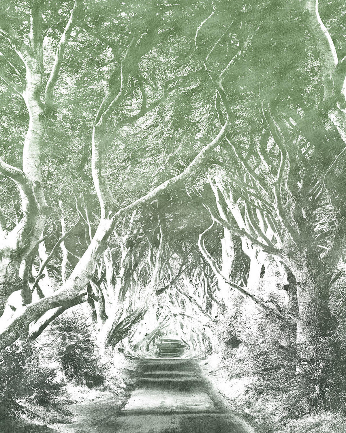 VLIESTAPETE  - Natur (200/250cm) - Komar