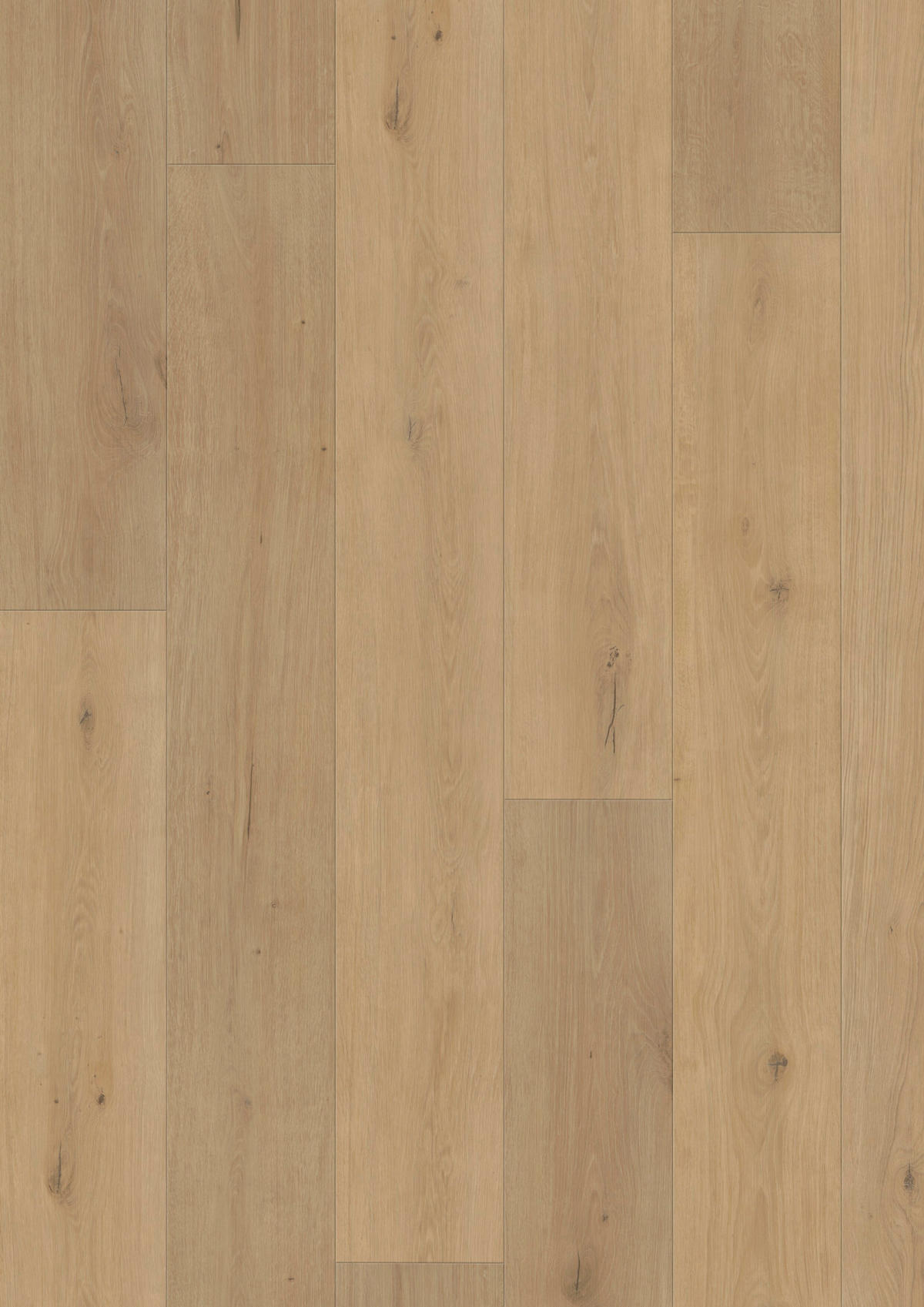 VINYLBODEN Elito Trend Eiche Crema!Pur 100005301  per  m² - Design, Holz (220/21,6/1cm) - Tilo
