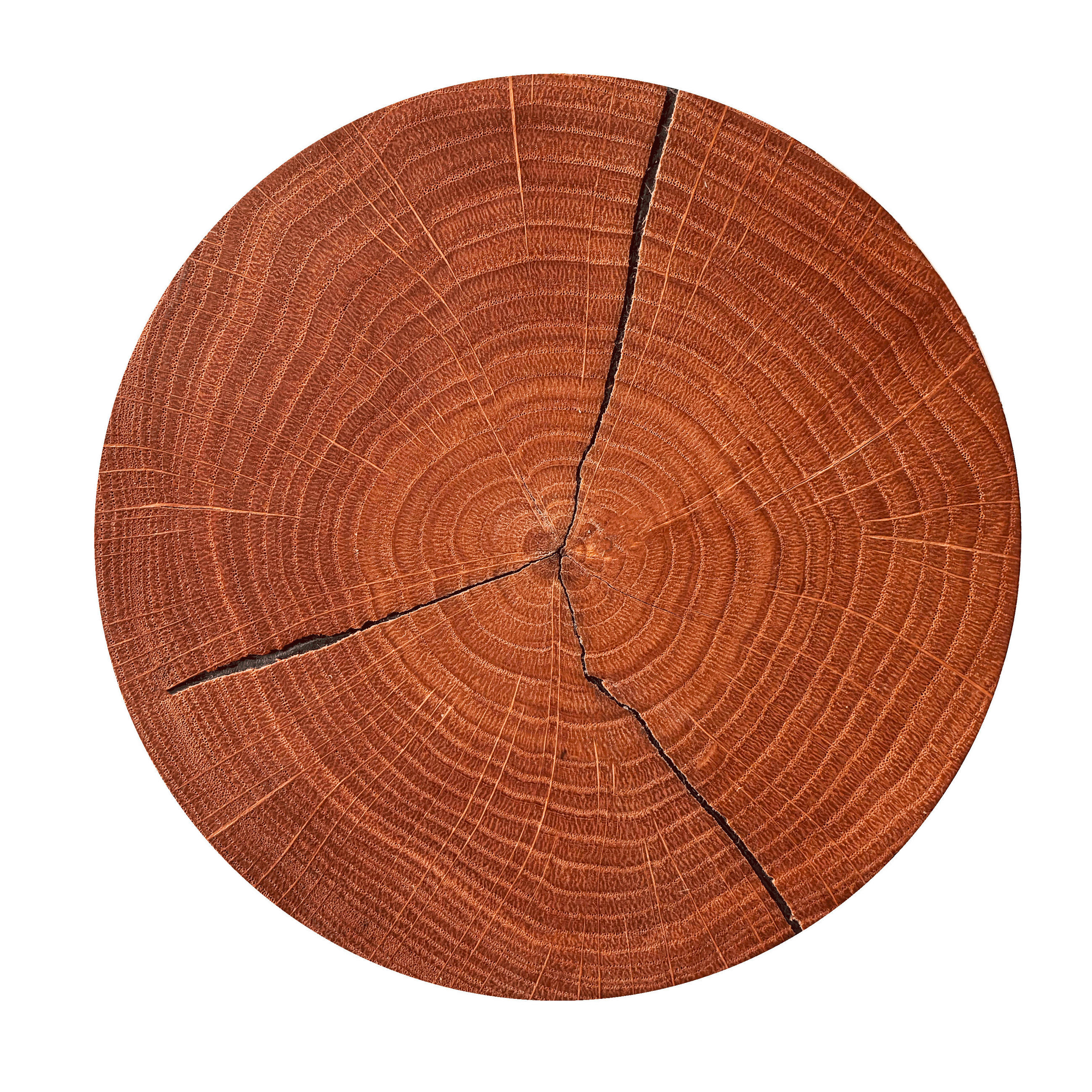 LED-WANDLEUCHTE 34 cm  - Eichefarben, Natur, Holz (34cm)