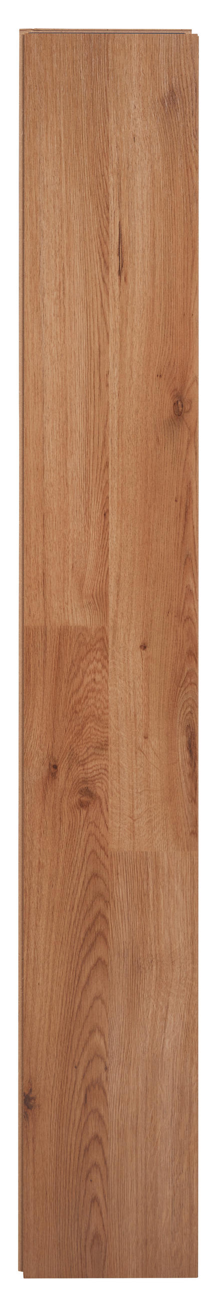 LAMINÁTOVÁ PODLAHA  (m²) barvy dubu - barvy dubu, Trend, kompozitní dřevo (137,6/19,3/0,6cm) - Boxxx