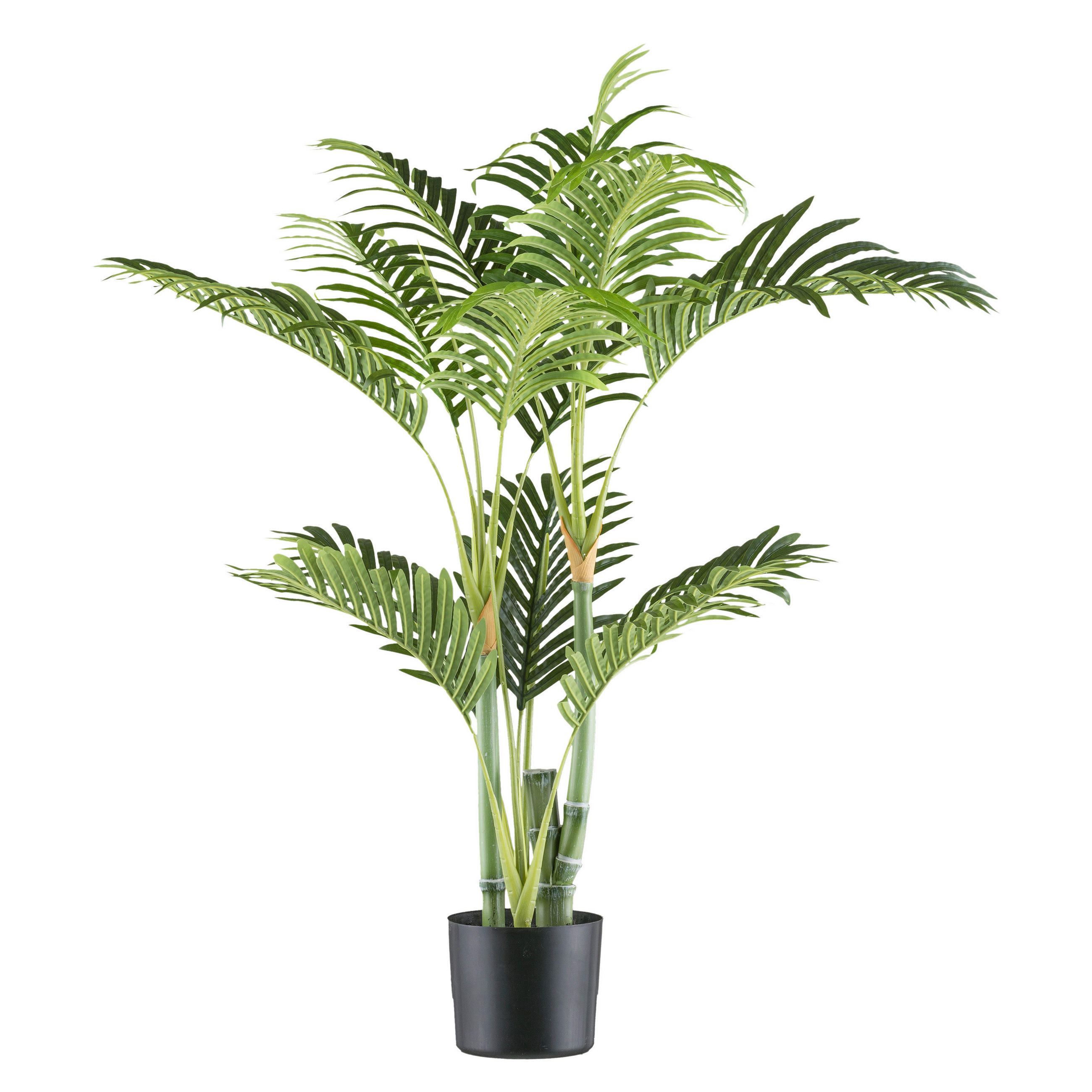 KUNSTPFLANZE Palme 100 cm  - Schwarz/Grün, Design, Kunststoff (100cm) - P & B