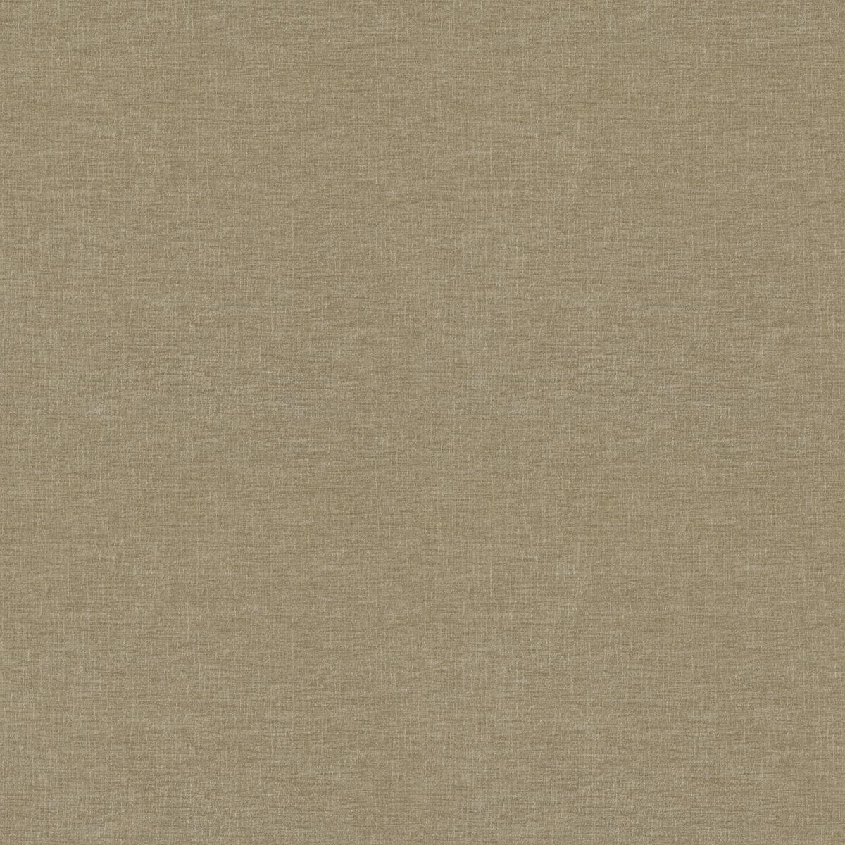THERMO-CHENILLE per lfm blickdicht  - Beige, Basics, Textil (150cm) - Esposa