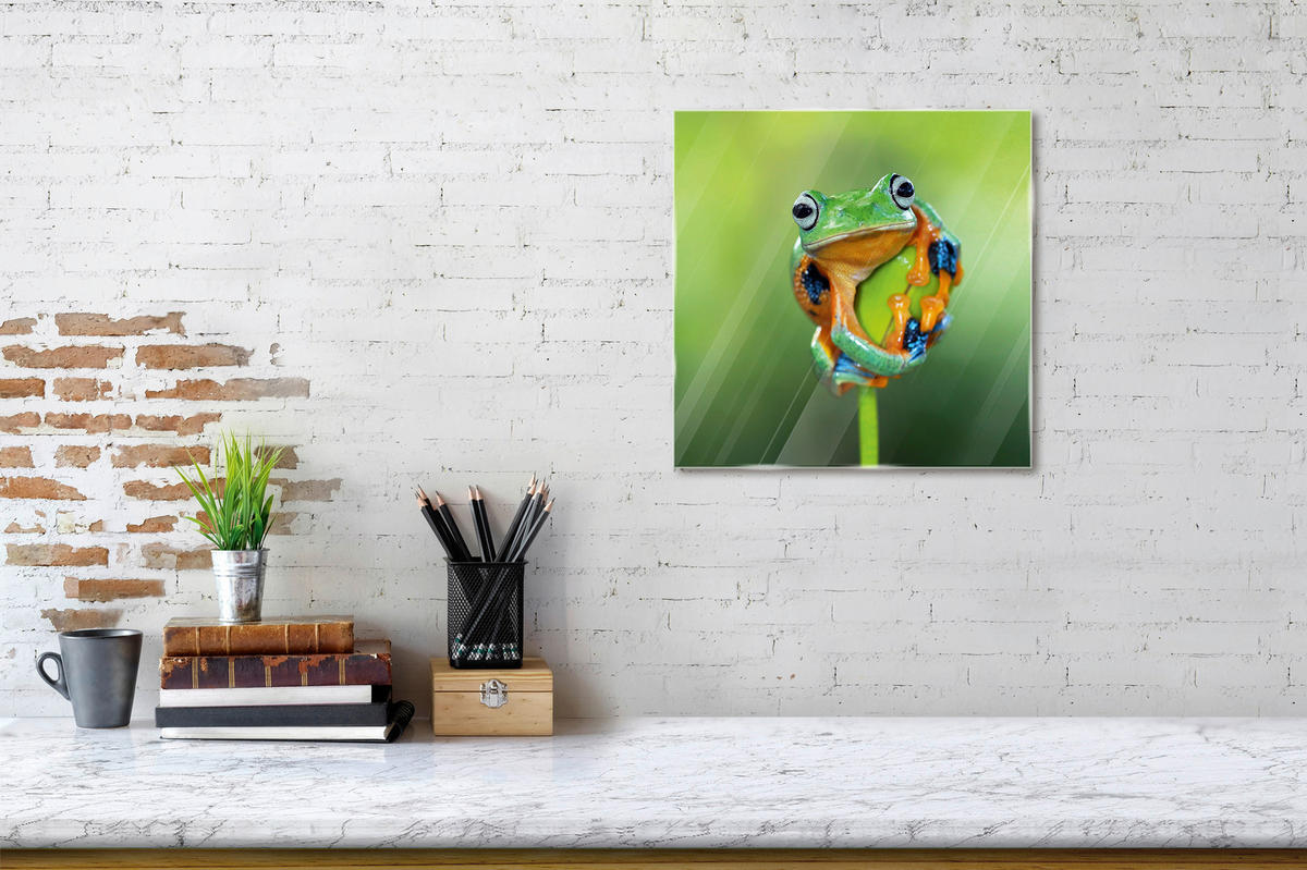 GLASBILD Tiere  - Grün, Natur, Glas (20/20/1,40cm) - Euroart