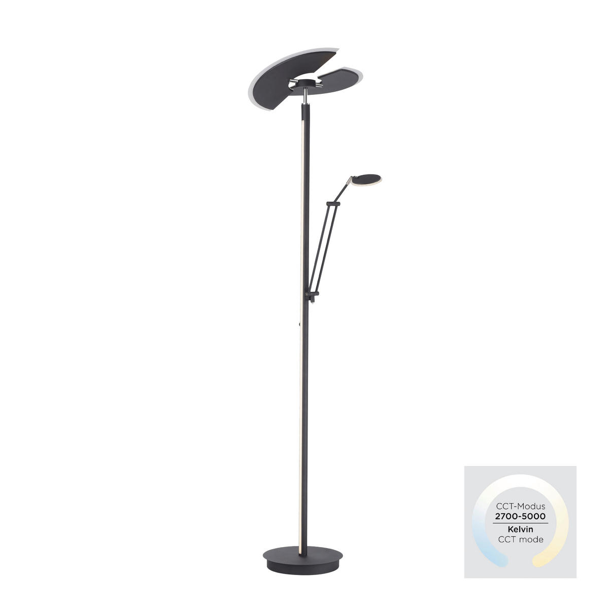LED STOJACÍ LAMPA, 87/44/202 cm - antracitová, Design, kov/plast (87/44/202cm)