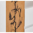 LOWBOARD 170/57/40 cm - Eichefarben/Weiß, Design, Holz/Holzwerkstoff (170/57/40cm) - Xora