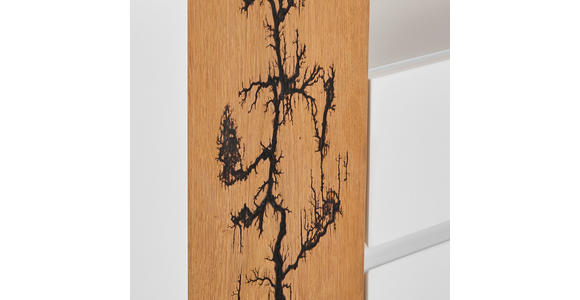LOWBOARD 170/57/40 cm - Eichefarben/Weiß, Design, Holz/Holzwerkstoff (170/57/40cm) - Xora