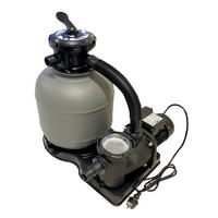 SANDFILTERPUMPE  - Schwarz/Grau, Basics, Kunststoff (41,2/54,5cm)