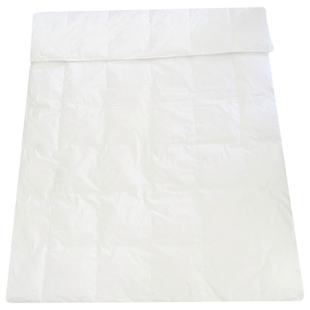 Daunendecke Leicht / 1 Wärmepunkt