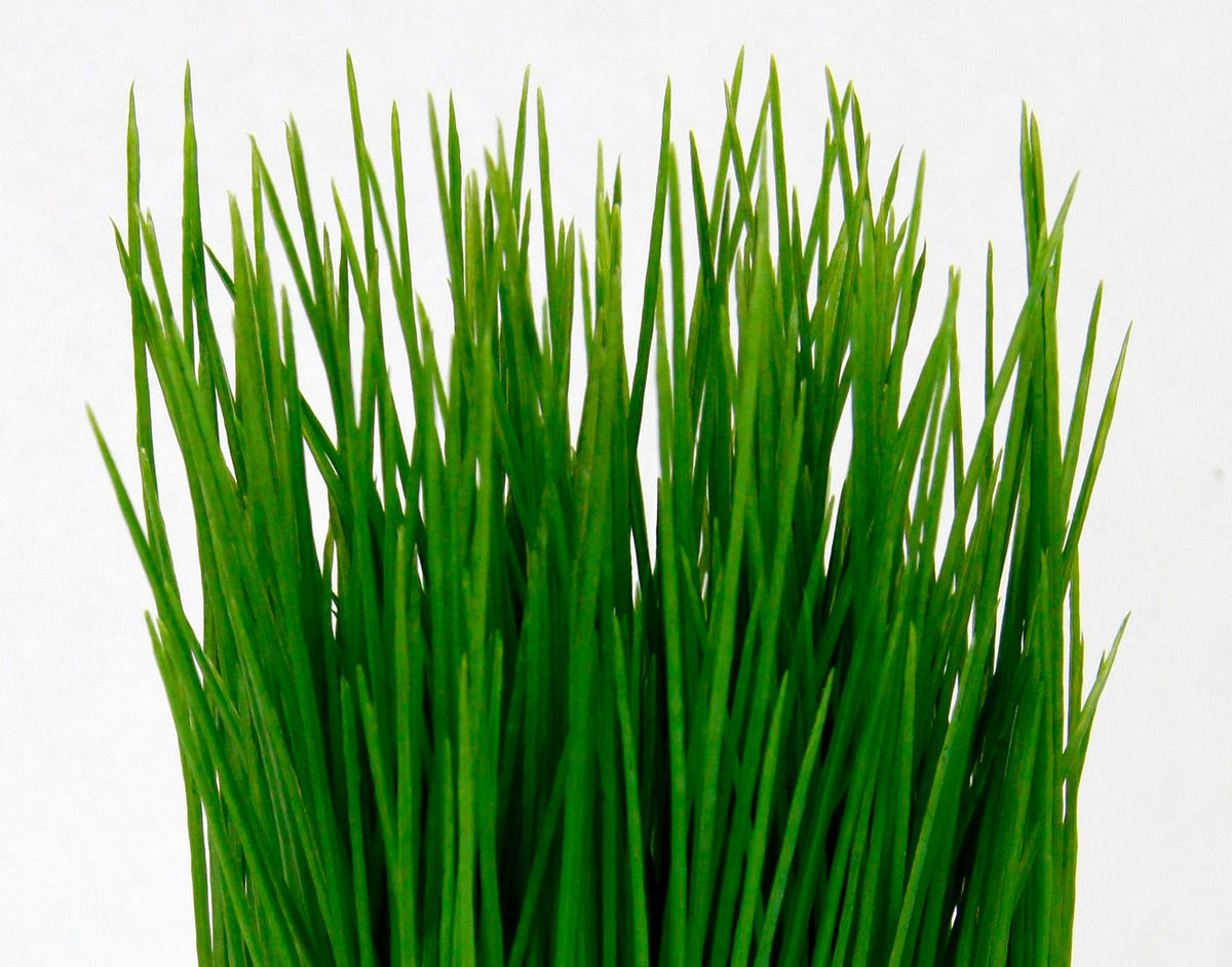 DEKOGRAS  - Grün, Basics, Kunststoff (9/22cm)