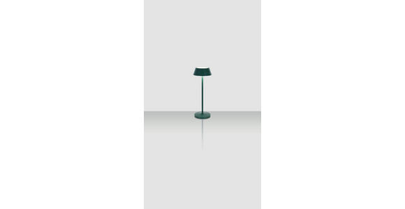AKKU-TISCHLEUCHTE 11/30 cm  - Dunkelgrün/Schwarz, Trend, Kunststoff/Metall (11/30cm) - Novel