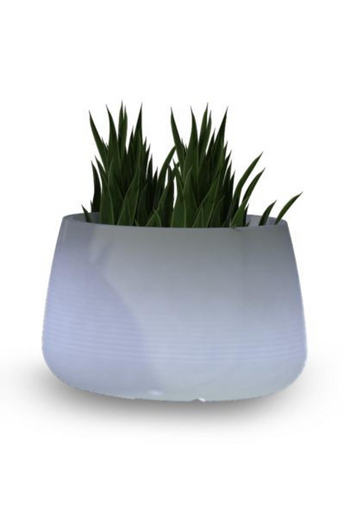 LED PFLANZGEFÄß CAMELIA 60 - Weiß, Design (59/39cm)