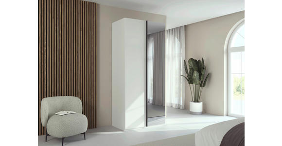 DREHTÜRENSCHRANK 101/235/61 cm,  in Weiß, 2-türig  - Graphitfarben/Weiß, Basics, Glas/Holzwerkstoff (101/235/61cm) - Novel