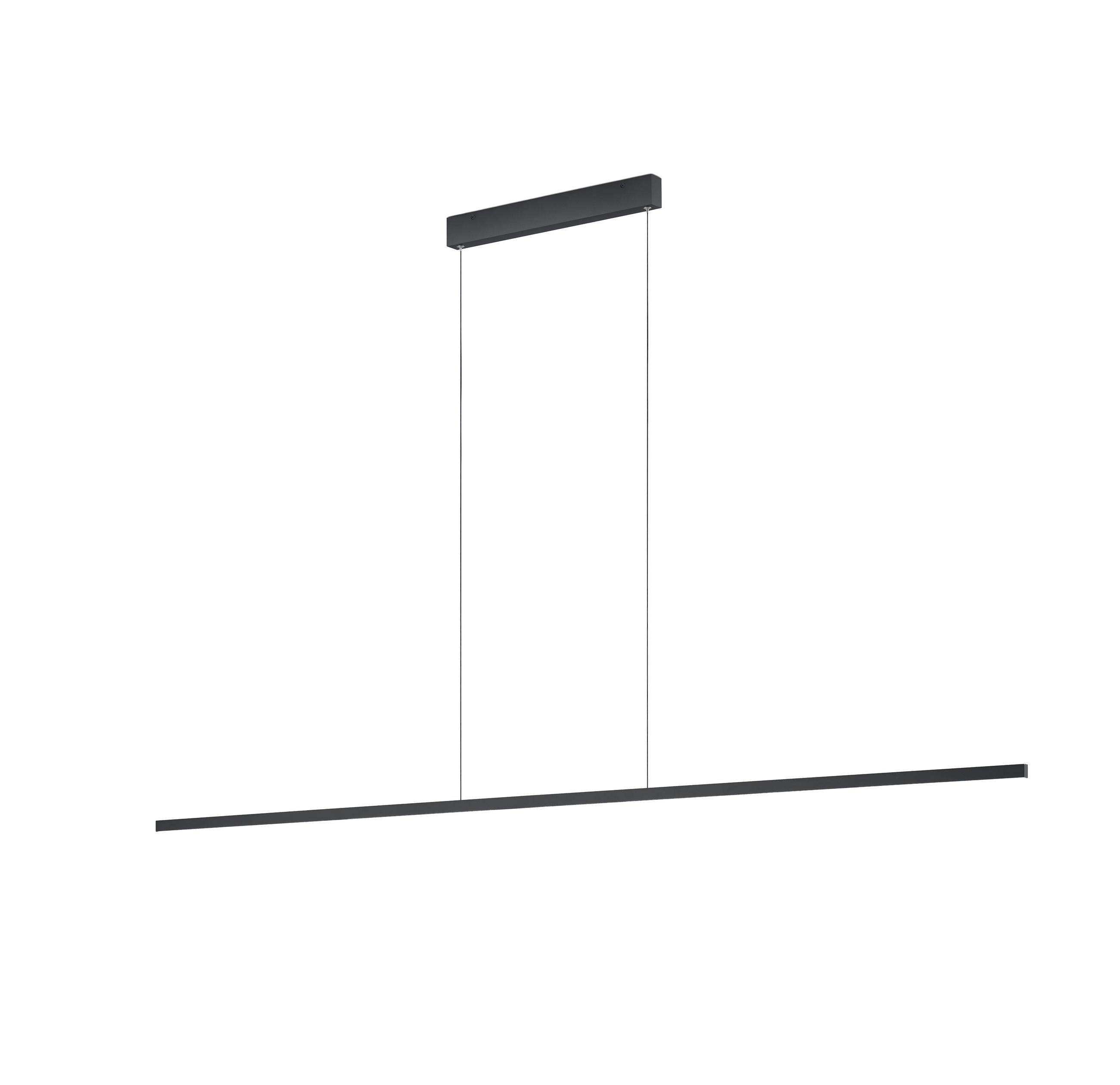 LED-HÄNGELEUCHTE LOOPY-evo 168,5/3 / 1,2/210 cm   - Schwarz, MODERN, Metall (168,5/3 / 1,2/210cm) - Helestra