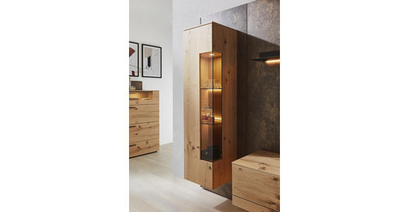 WOHNWAND in Anthrazit, Eichefarben, Rostfarben - Eichefarben/Rostfarben, Design, Glas/Holz (307/213,2/47,2-55,2cm) - Dieter Knoll
