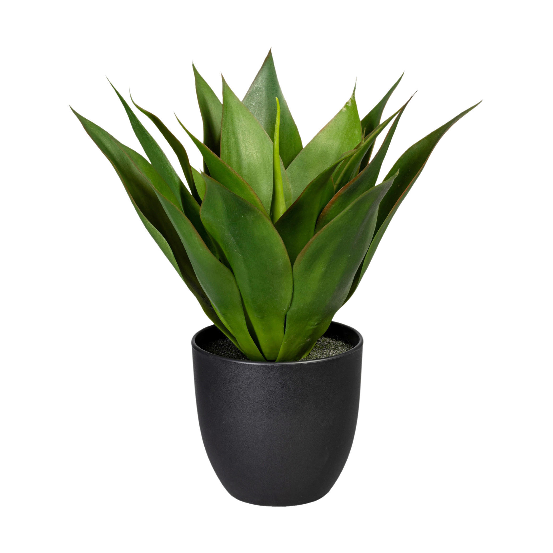 KUNSTPFLANZE Agave 36 cm  - Schwarz/Grün, Design, Kunststoff (36cm)