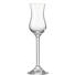 SKLENICE NA DIGESTIV - čiré, Konvenční, sklo (6/20/6cm) - Leonardo SKLENICE NA DIGESTIV - čiré, Konvenční, sklo (6/20/6cm) - Leonardo
