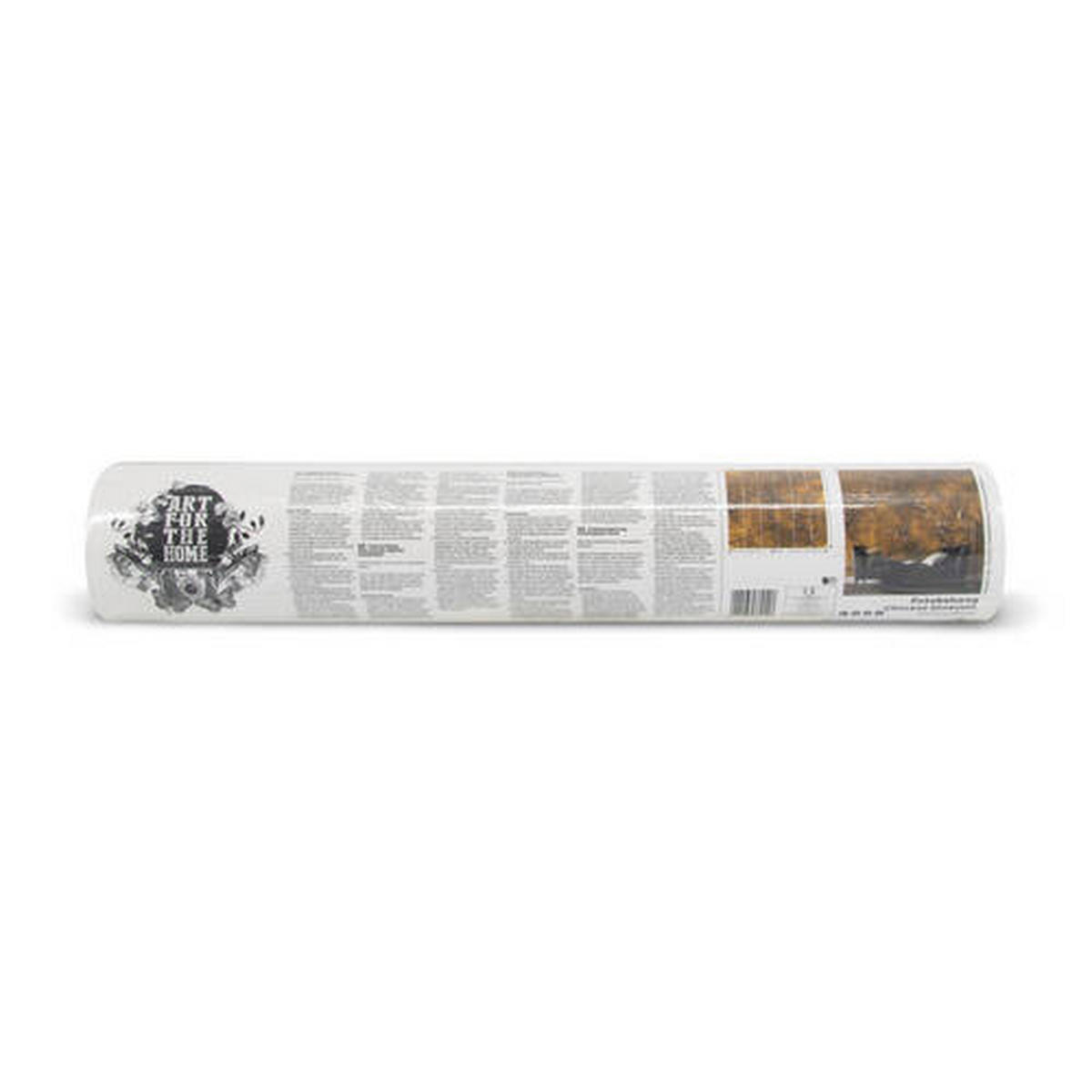 FOTOTAPETE  - Gelb, Basics, Papier/Kunststoff (300/280/11cm) - Xora