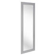 WANDSPIEGEL 50/150/2 cm    in rechteckig  - Silberfarben, LIFESTYLE, Glas/Kunststoff (50/150/2cm) - Carryhome