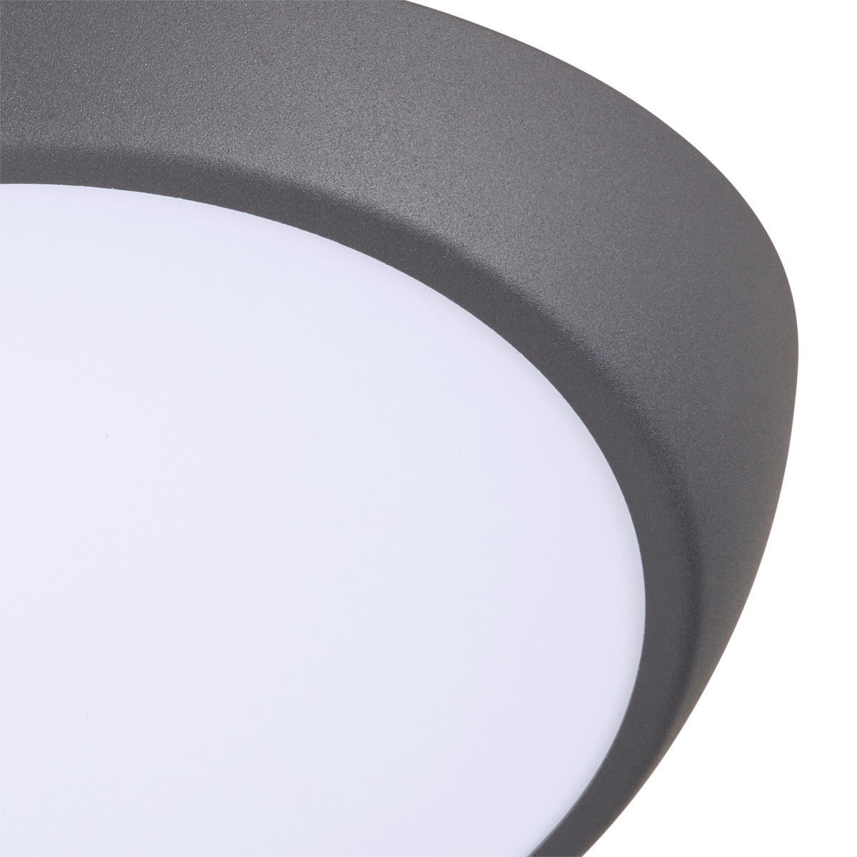 LED-DECKENLEUCHTE 26/12,5 cm   - Anthrazit, LIFESTYLE, Metall (26/12,5cm) - Novel