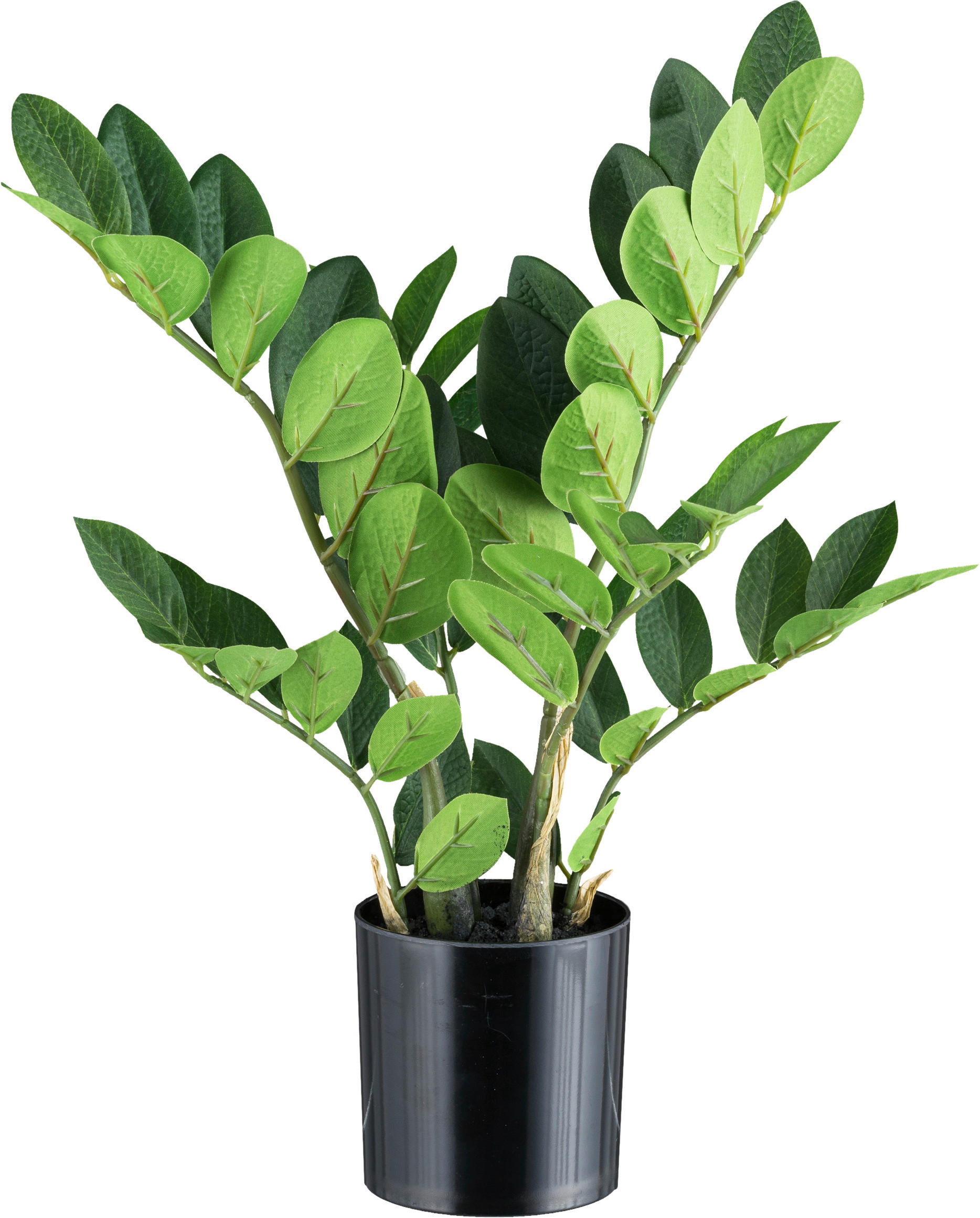 KUNSTPFLANZE 45 cm  - Schwarz/Braun, Design, Kunststoff (45cm)