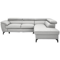 ECKSOFA in Echtleder Hellgrau  - Hellgrau/Schwarz, Design, Leder/Metall (256/220cm) - Celina Home