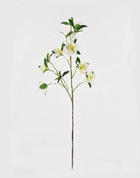 MŰNÖVÉNY - barna/fehér, Basics, műanyag