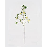 MŰNÖVÉNY - barna/fehér, Basics, műanyag