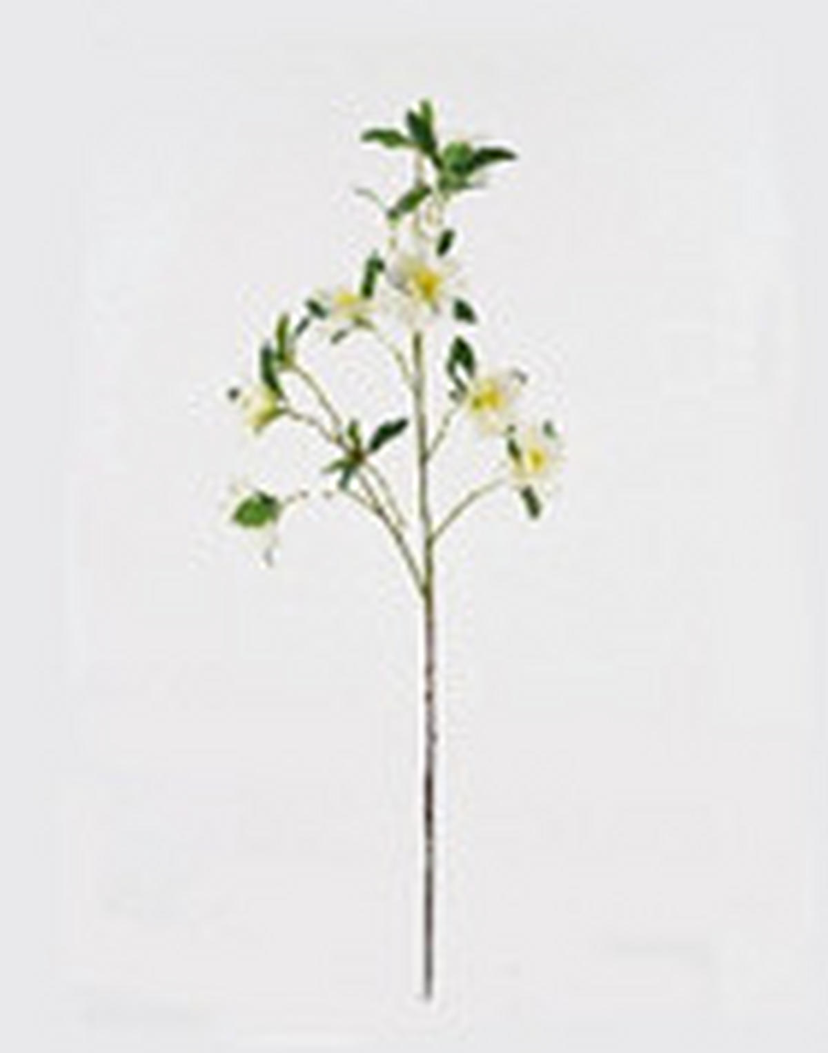 MŰNÖVÉNY - barna/fehér, Basics, műanyag