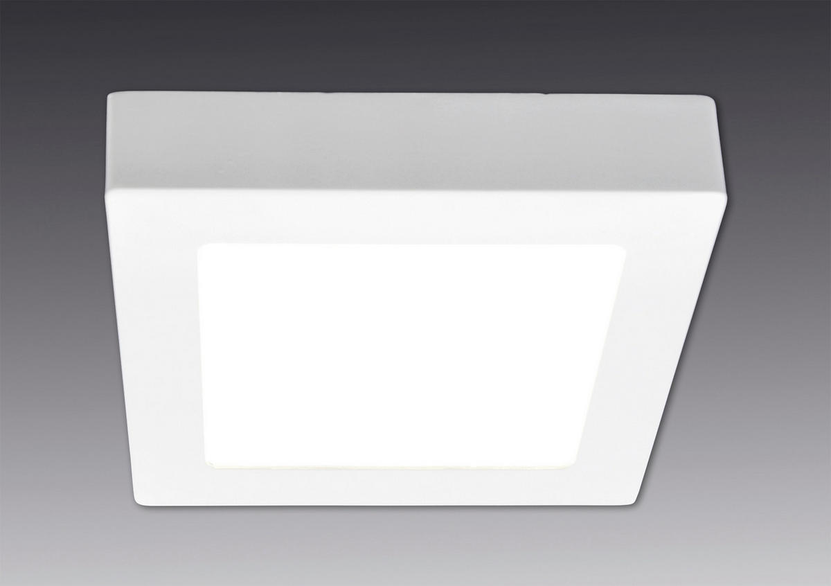 LED-DECKENLEUCHTE 30/30/3,5 cm   - Weiß, Basics, Kunststoff/Metall (30/30/3,5cm) - Näve