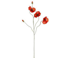 DEKORKVIST - ljusgrön/röd, Basics (107cm)