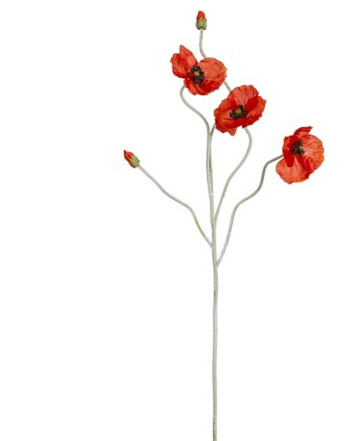 DEKORKVIST - ljusgrön/röd, Basics (107cm)