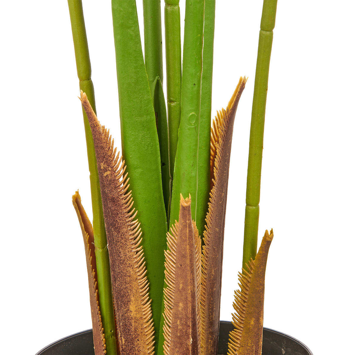 KUNSTPFLANZE Palme 150 cm  - Schwarz/Grün, Basics, Kunststoff (150cm)