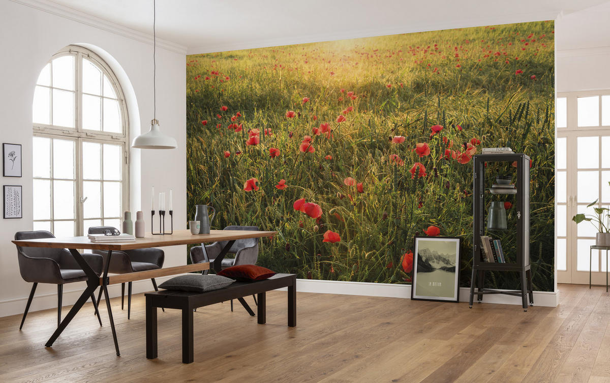 FOTOTAPETE - Rot/Grün, Trend, Textil (450/280cm)