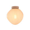 TAKLAMPA it's about RoMi 26/28 cm  - vit, Trend, glas (26/28cm) - It's about Romi