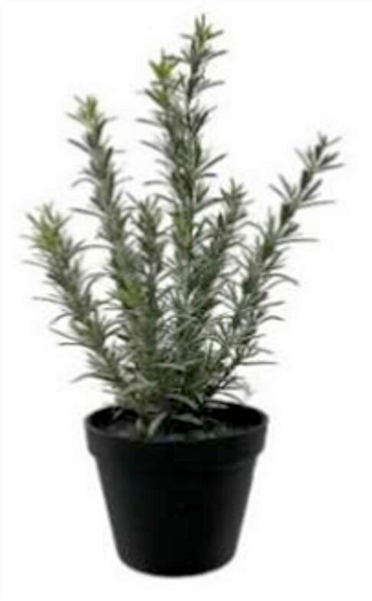 KUNSTBLUME  - Grün, Basics, Kunststoff (38cm)