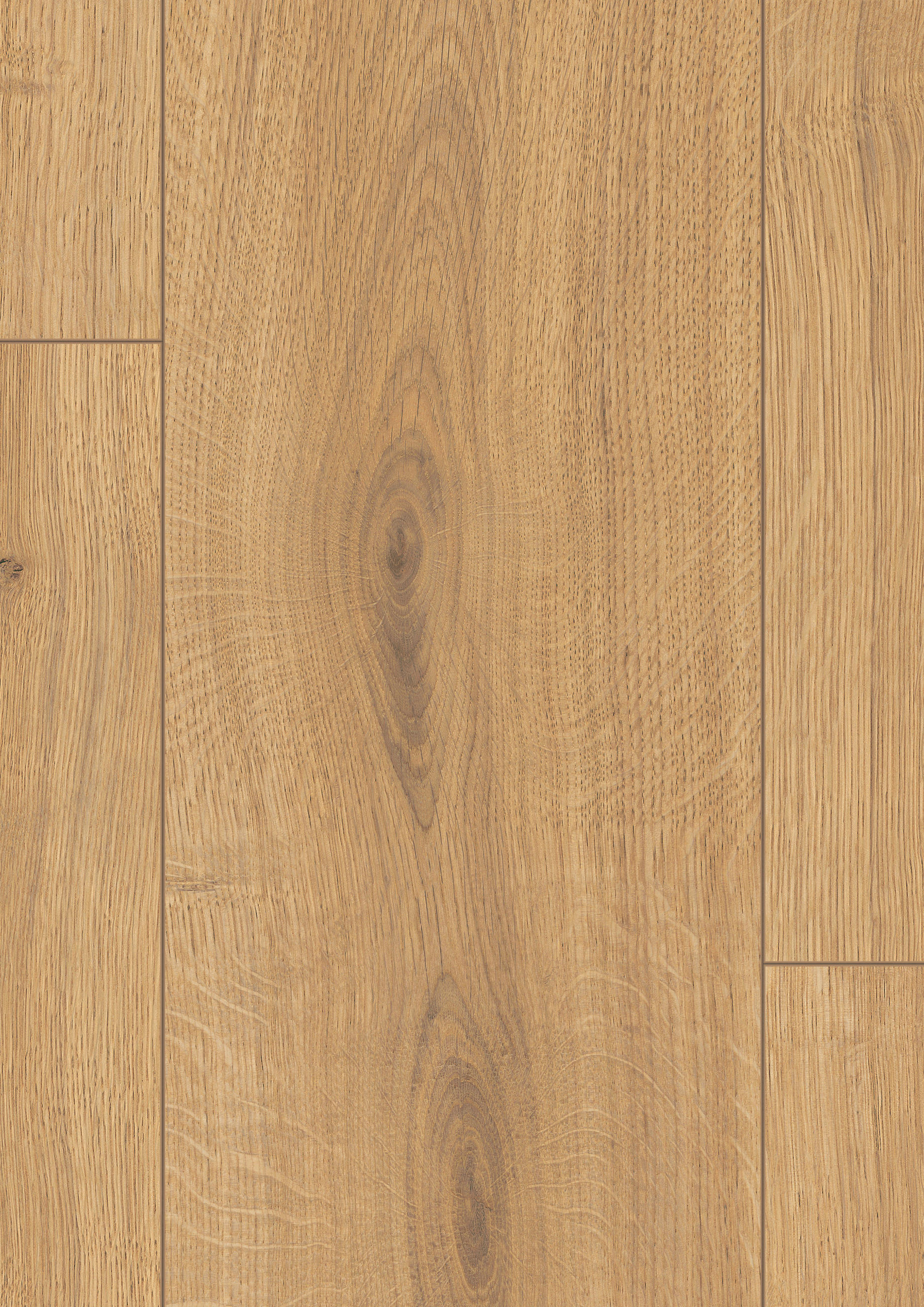 LAMINATBODEN Predia Eiche  per  m² - Eichefarben, KONVENTIONELL, Holzwerkstoff (129,2/19,3/0,8cm) - Venda