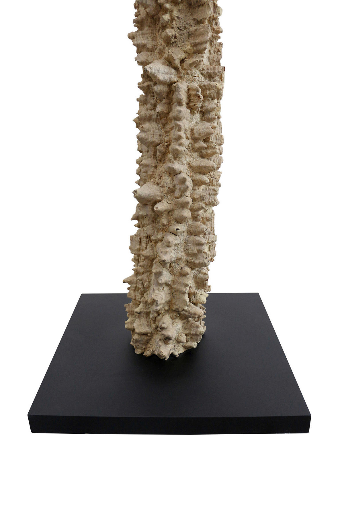 STEHLEUCHTE  30/150/30 cm   - Schwarz/Naturfarben, Design, Holz/Textil (30/150/30cm) - P & B