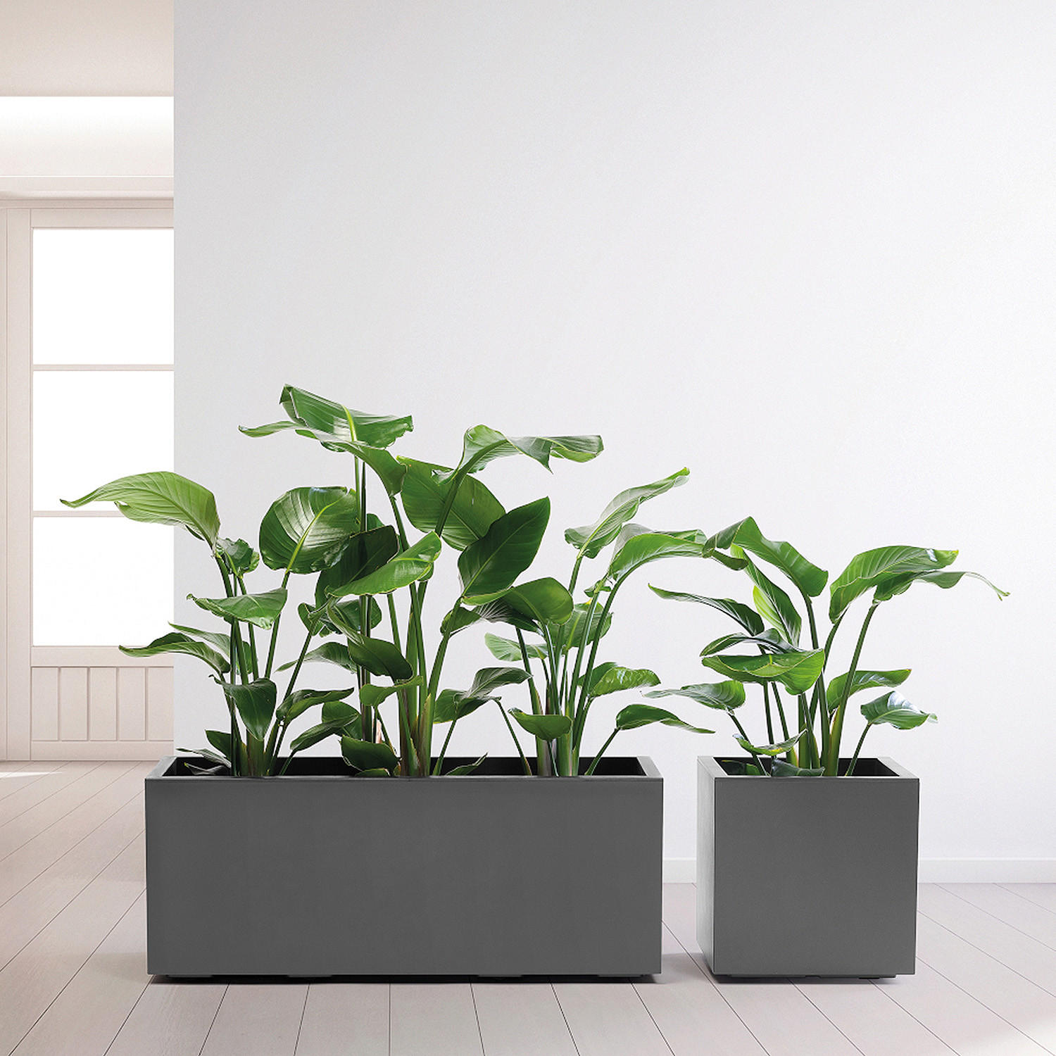 BLUMENKASTEN GREENER KEBE  - Anthrazit, Basics, Kunststoff (39,5/39,5/39,5cm)