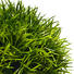 GRASKUGEL - Grün, Basics, Kunststoff (14cm) GRASKUGEL - Grün, Basics, Kunststoff (14cm)