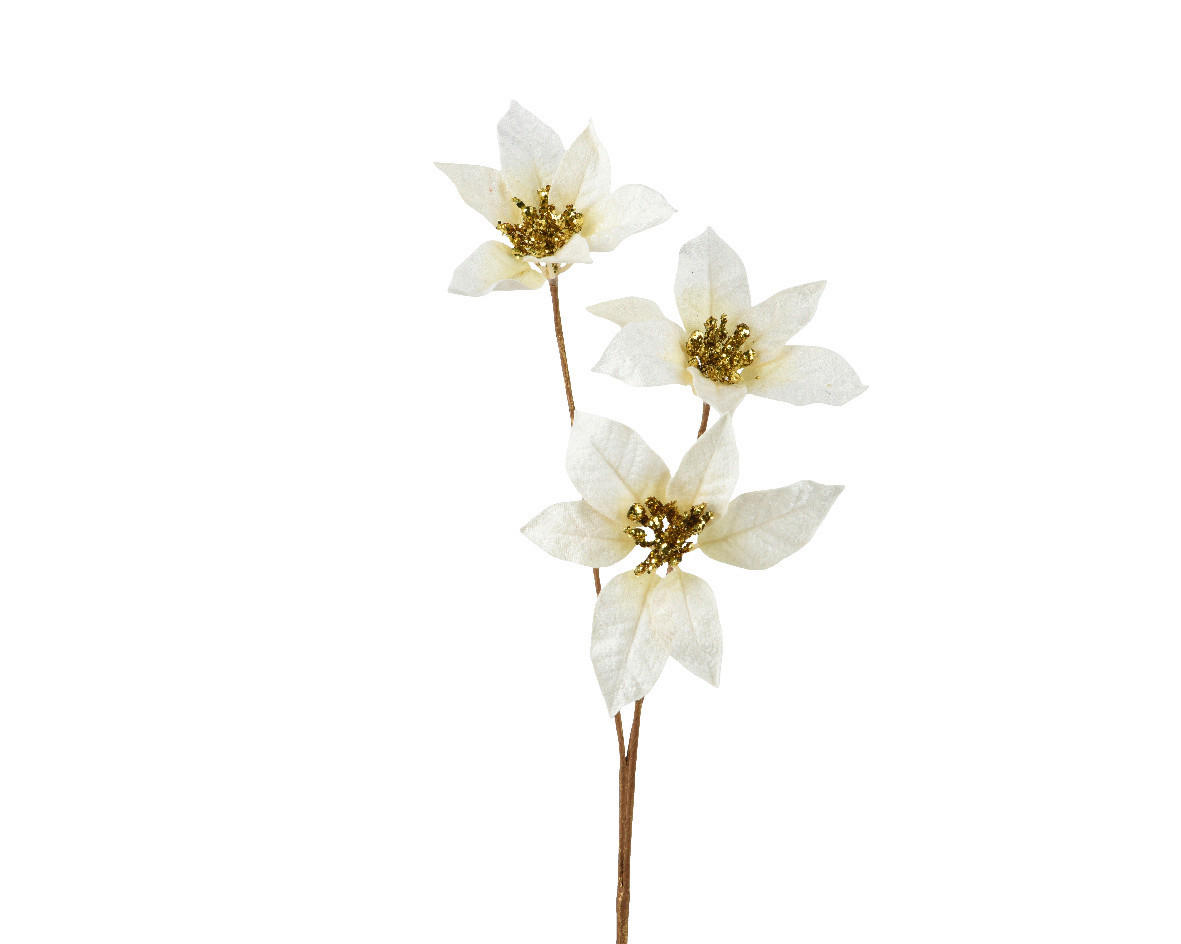 MŰVIRÁG - Basics (17,00/10,00/60,00cm)