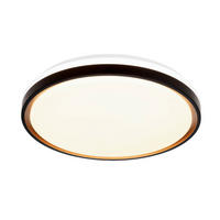 STROPNA LED-SVETILKA   40 W/4400 lm/2700-6500 K/220-240 V/ - zlate barve/črna, Basics, kovina/umetna masa (49/6,7cm) - Novel