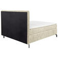 BOXSPRINGBETT 160/200 cm  in Champagner  - Champagner/Schwarz, Design, Textil/Metall (160/200cm) - Esposa