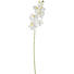 KUNSTBLUME - Creme/Grün, Basics, Kunststoff (0.01/85.00/0.01cm) - Leonardo KUNSTBLUME - Creme/Grün, Basics, Kunststoff (0.01/85.00/0.01cm) - Leonardo