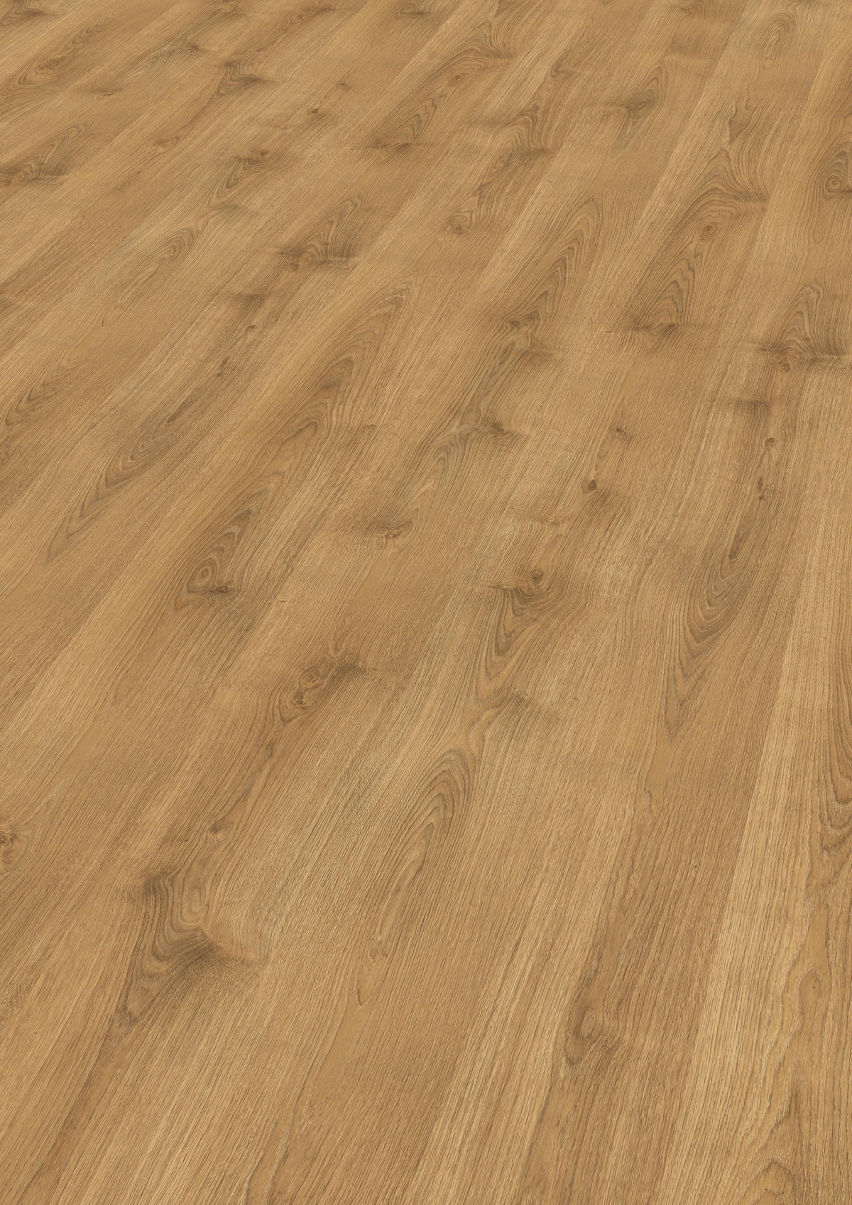 LAMINATBODEN Nord Eiche EGGER Nature Sense  per  m² - Eichefarben/Braun, KONVENTIONELL, Holzwerkstoff (129.2/19.3/0.8cm) - Egger Holzwerkstoffe